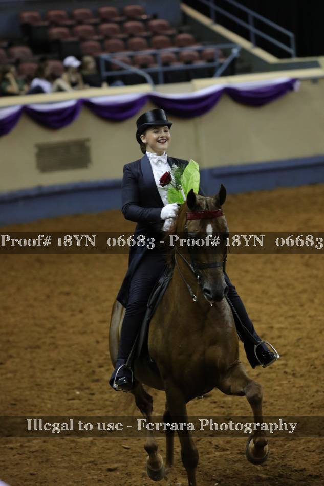 Proof 18YN_06683