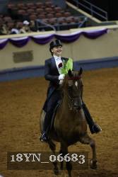 18YN_06683 proof