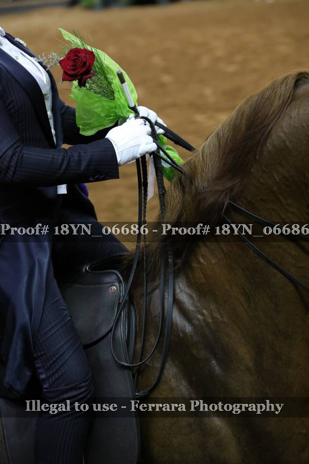 Proof 18YN_06686