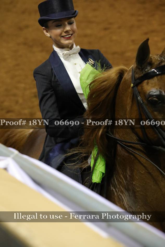 Proof 18YN_06690
