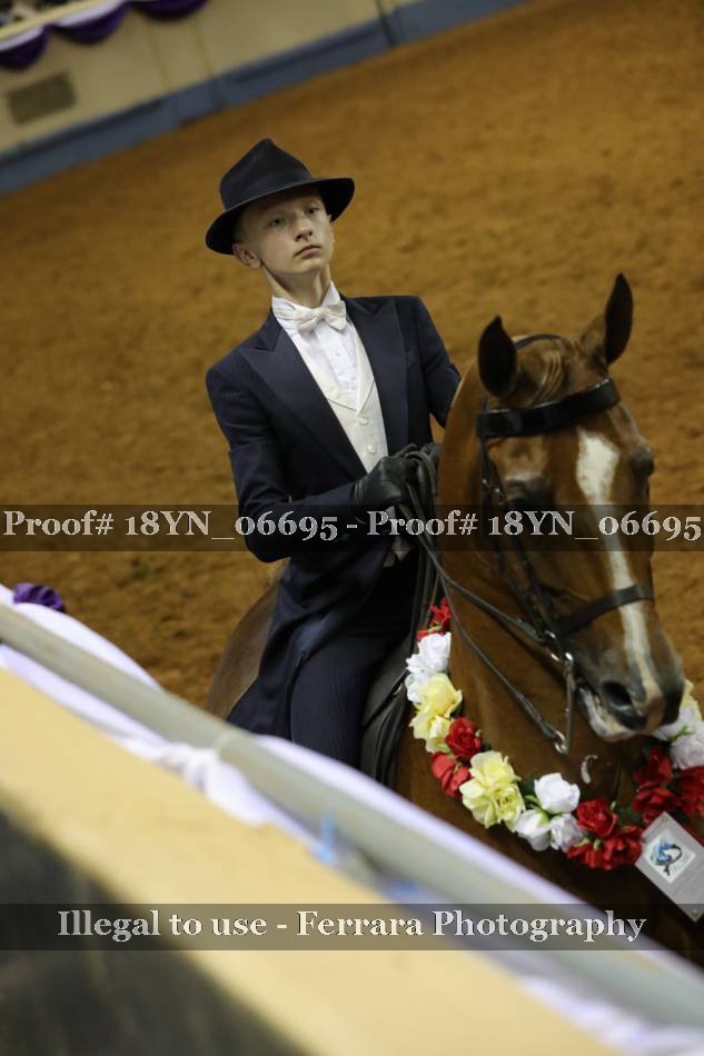 Proof 18YN_06695