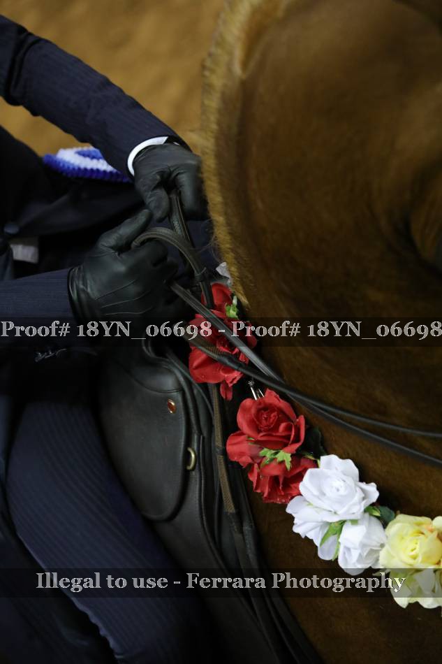 Proof 18YN_06698