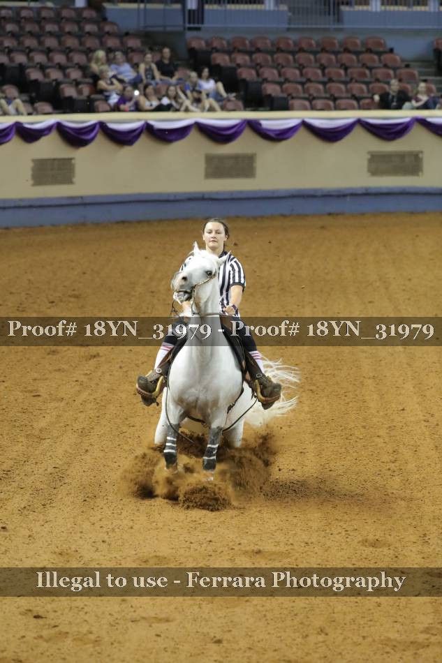 Proof 18YN_31979
