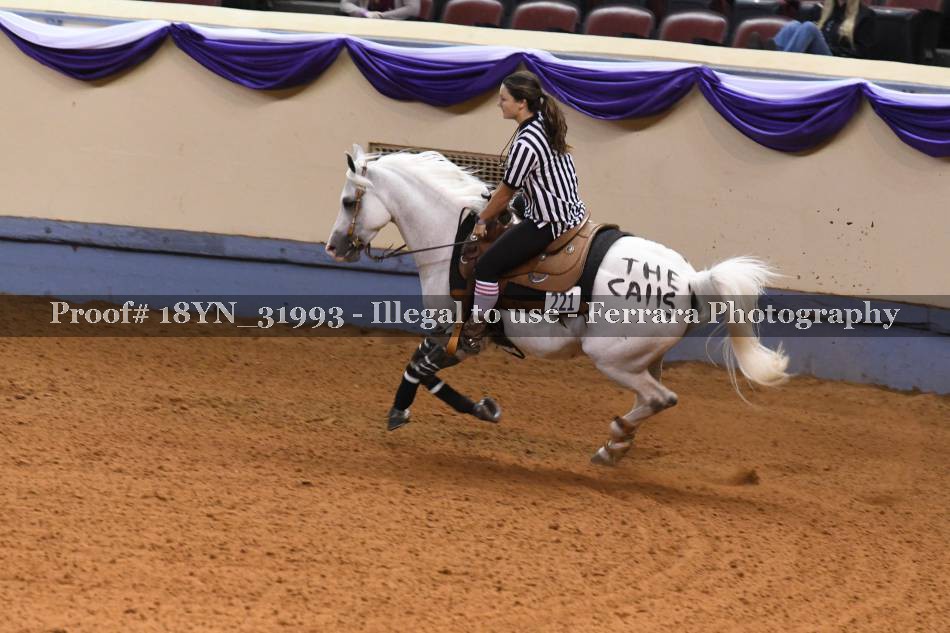 Proof 18YN_31993