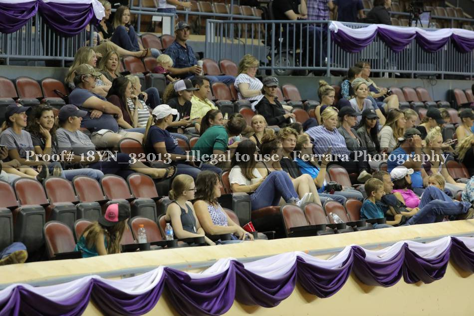 Proof 18YN_32013