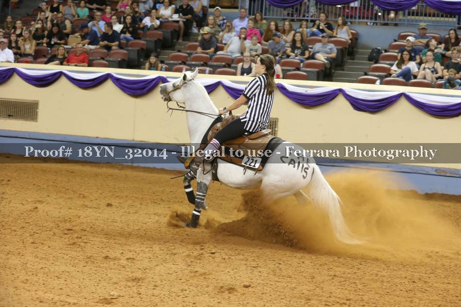 Proof 18YN_32014