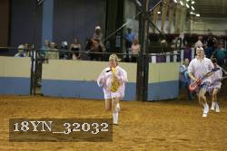 18YN_32032 proof