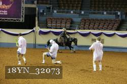 18YN_32073 proof