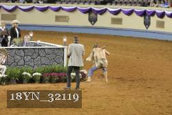 18YN_32119 proof