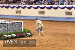 18YN_32144 proof