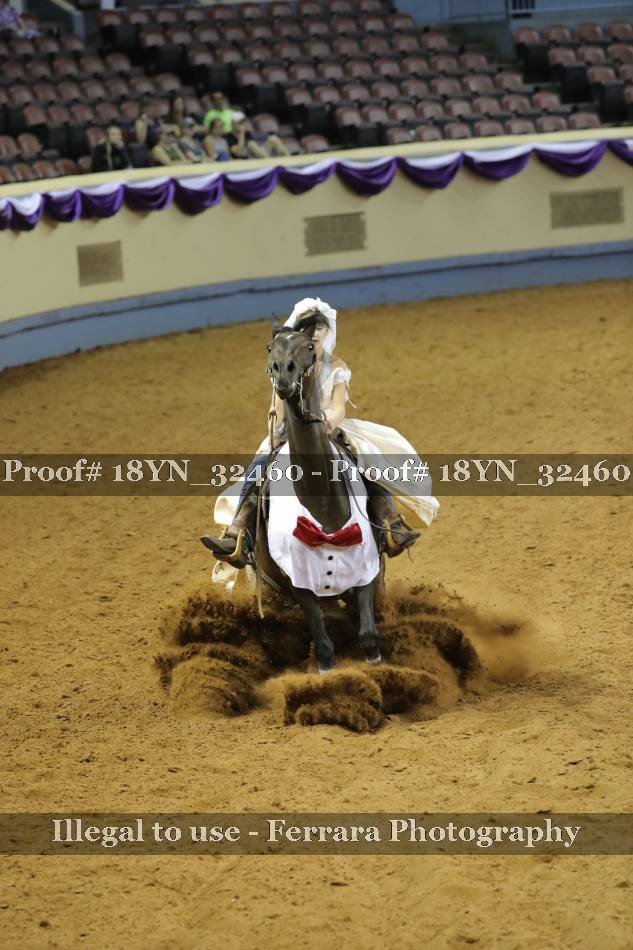 Proof 18YN_32460