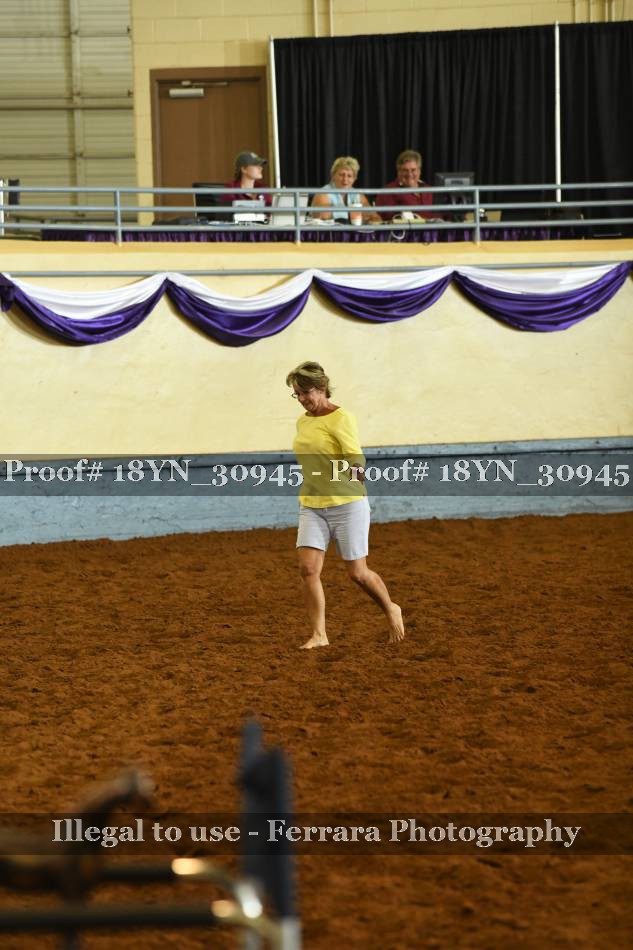 Proof 18YN_30945