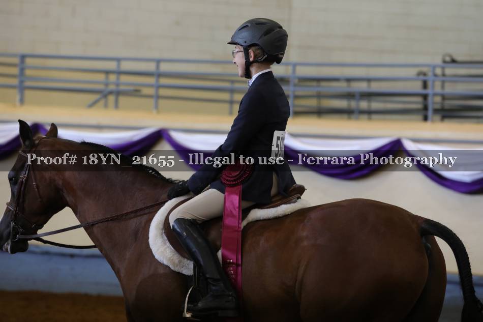 Proof 18YN_21655