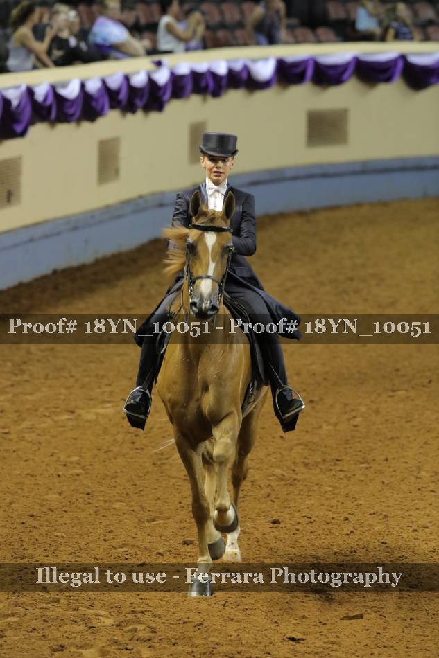 Proof 18YN_10051