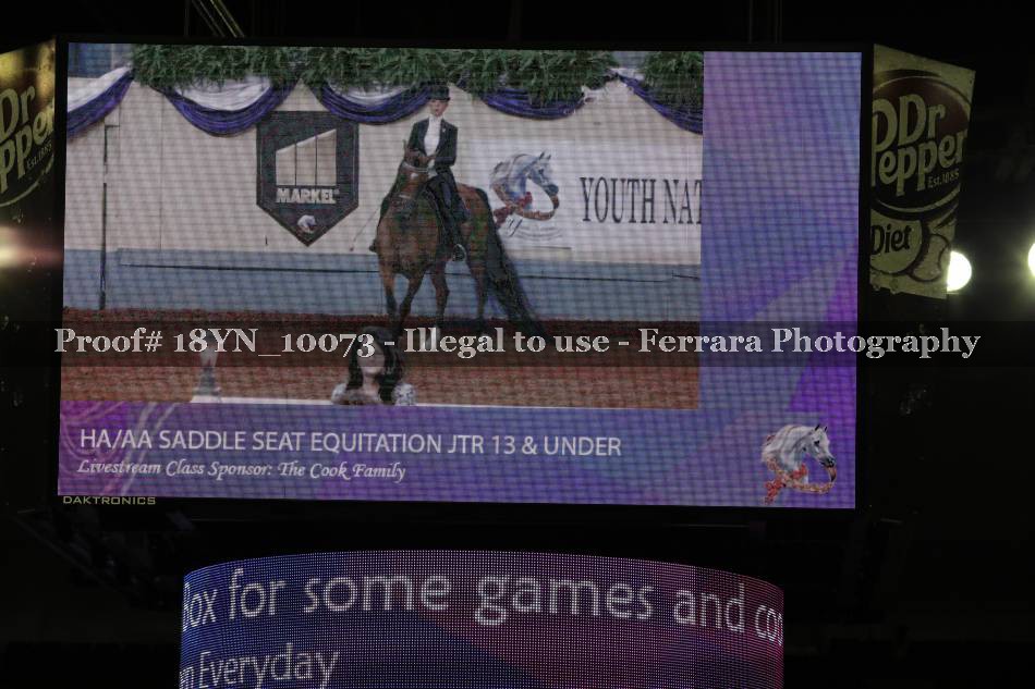 Proof 18YN_10073