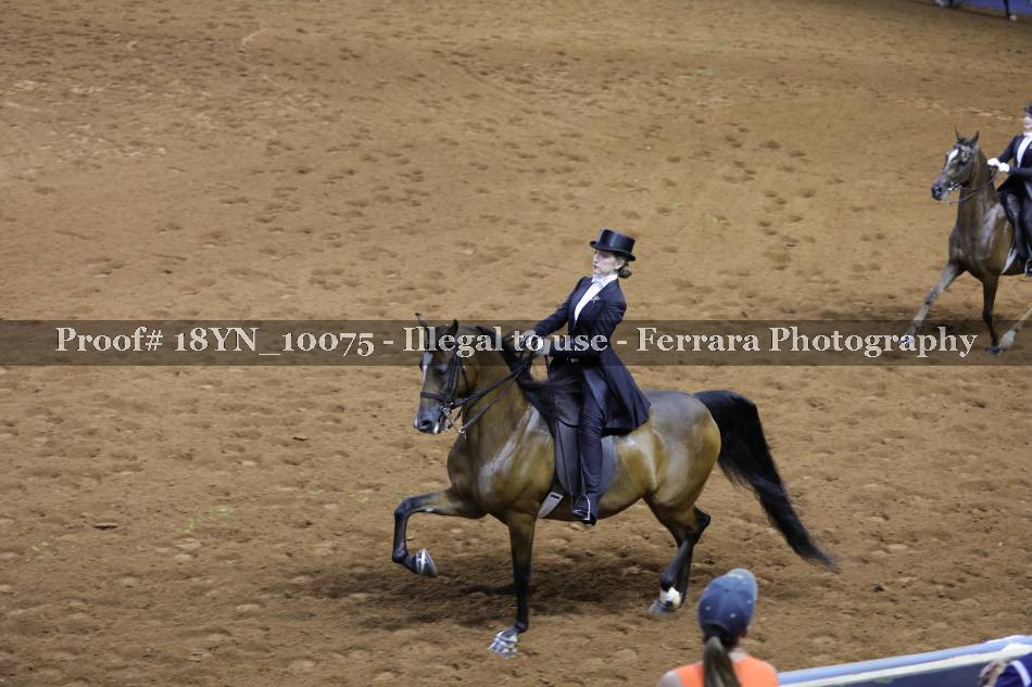 Proof 18YN_10075