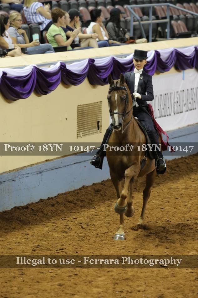 Proof 18YN_10147