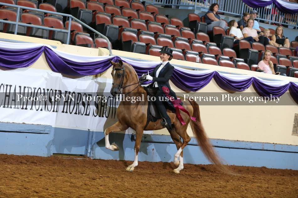 Proof 18YN_10173
