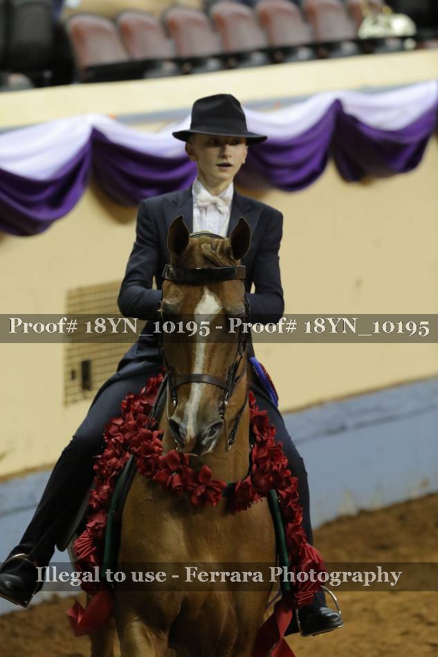 Proof 18YN_10195