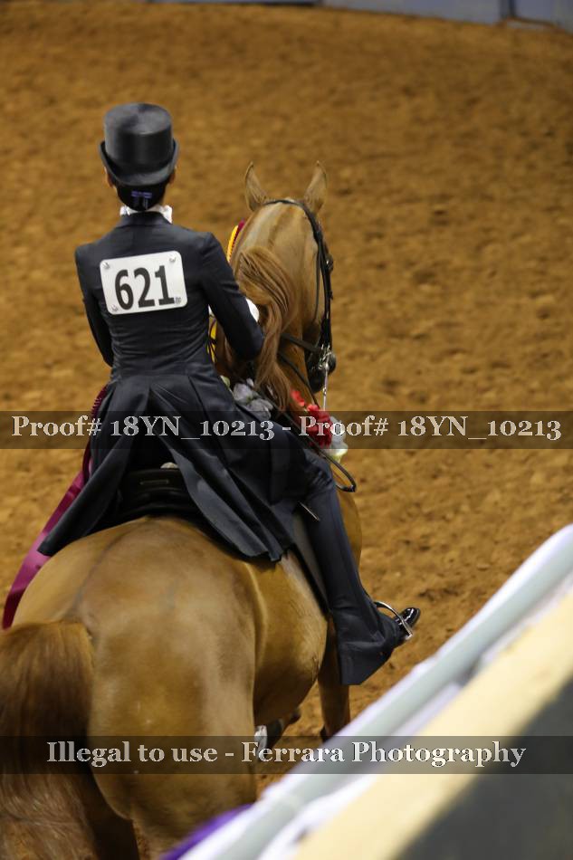 Proof 18YN_10213
