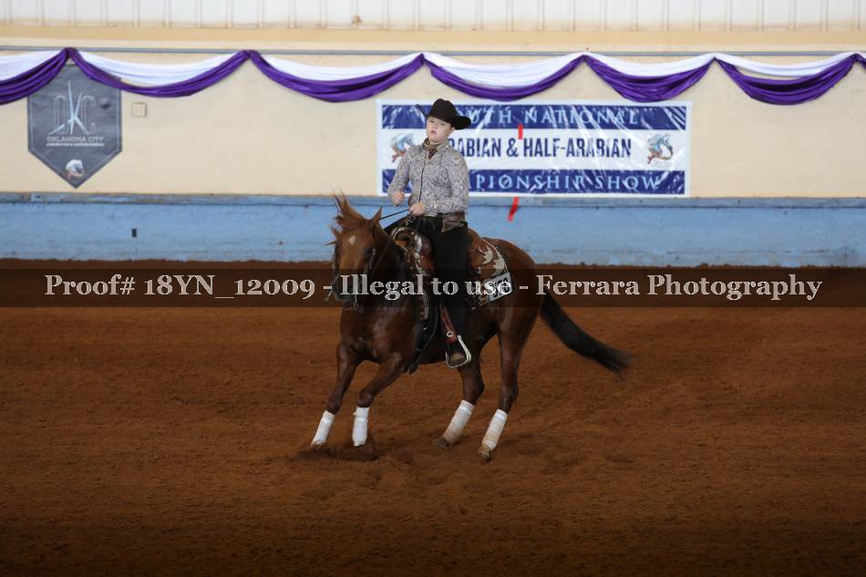 Proof 18YN_12009