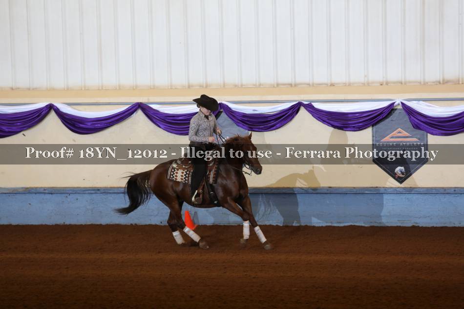 Proof 18YN_12012