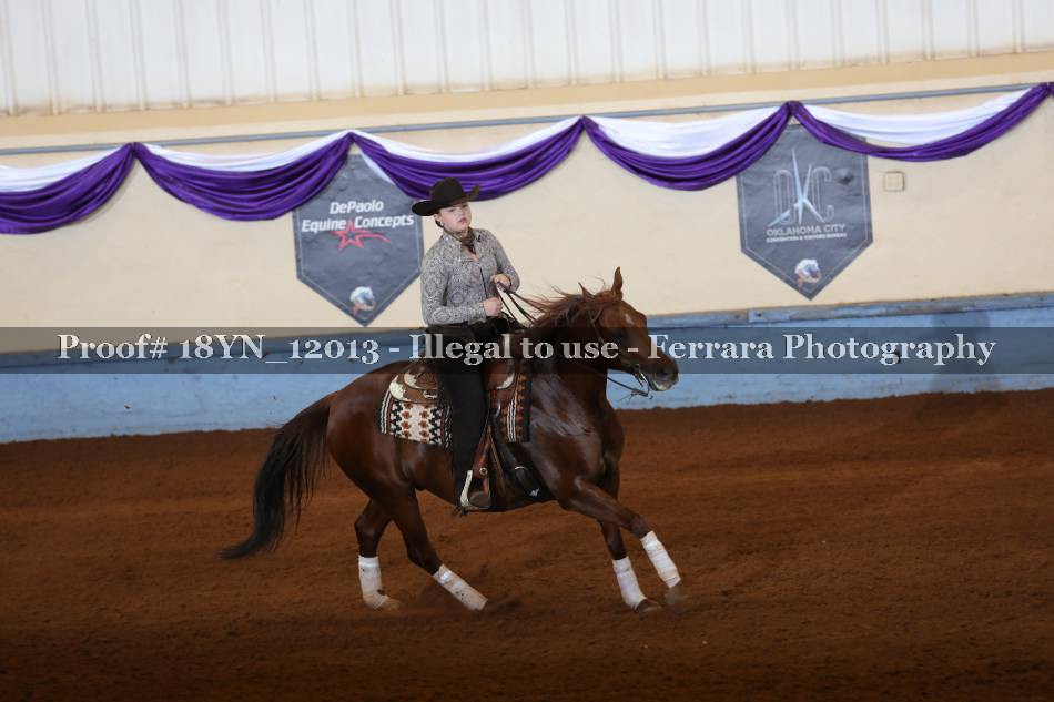Proof 18YN_12013
