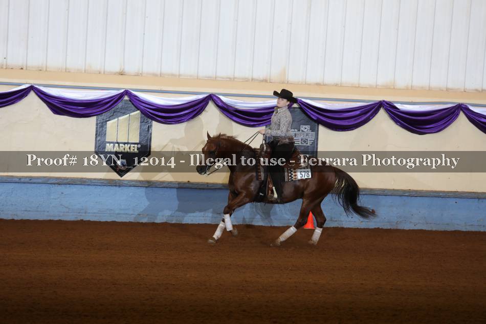 Proof 18YN_12014