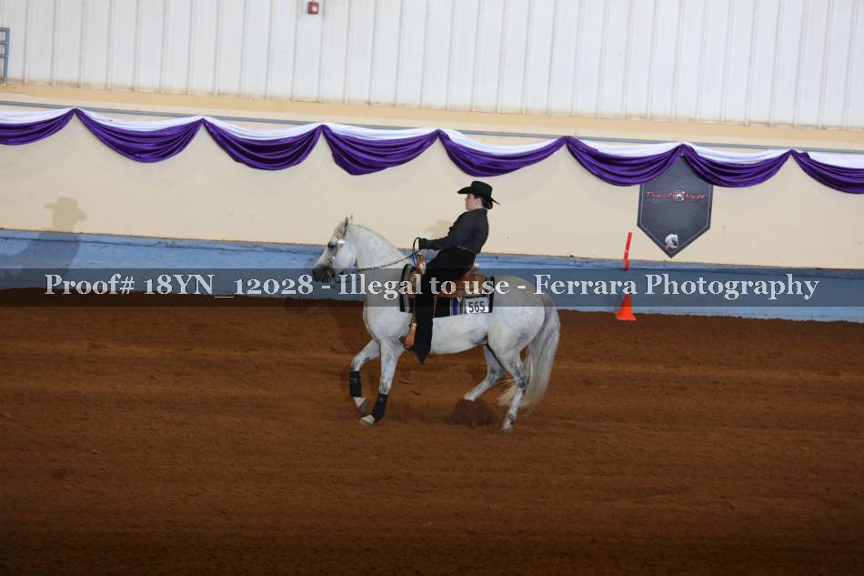 Proof 18YN_12028