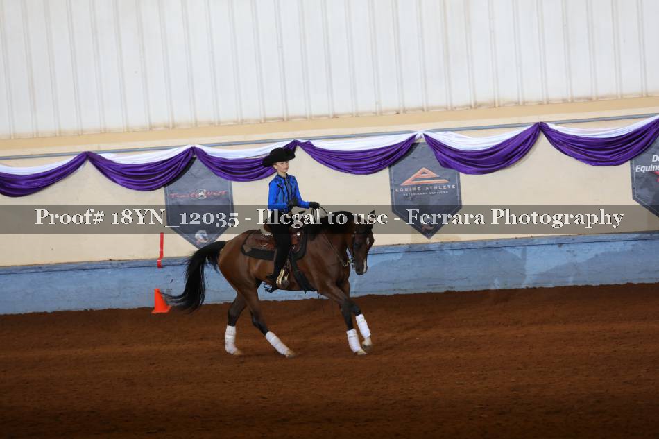 Proof 18YN_12035