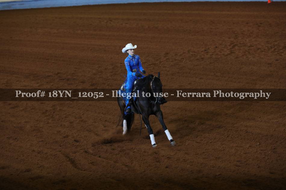 Proof 18YN_12052