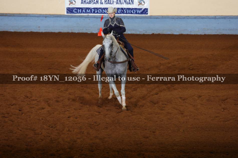 Proof 18YN_12056