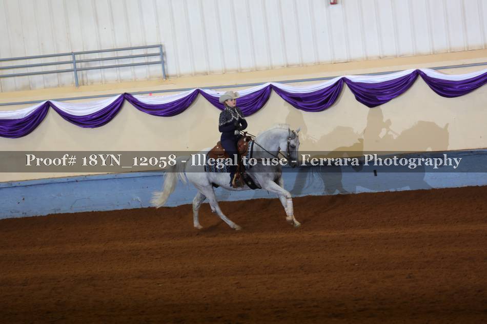 Proof 18YN_12058