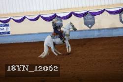 18YN_12062 proof