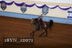 18YN_12071 proof