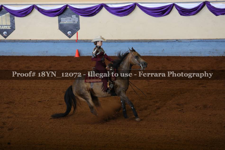 Proof 18YN_12072