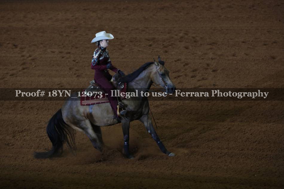 Proof 18YN_12073