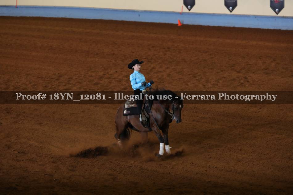 Proof 18YN_12081