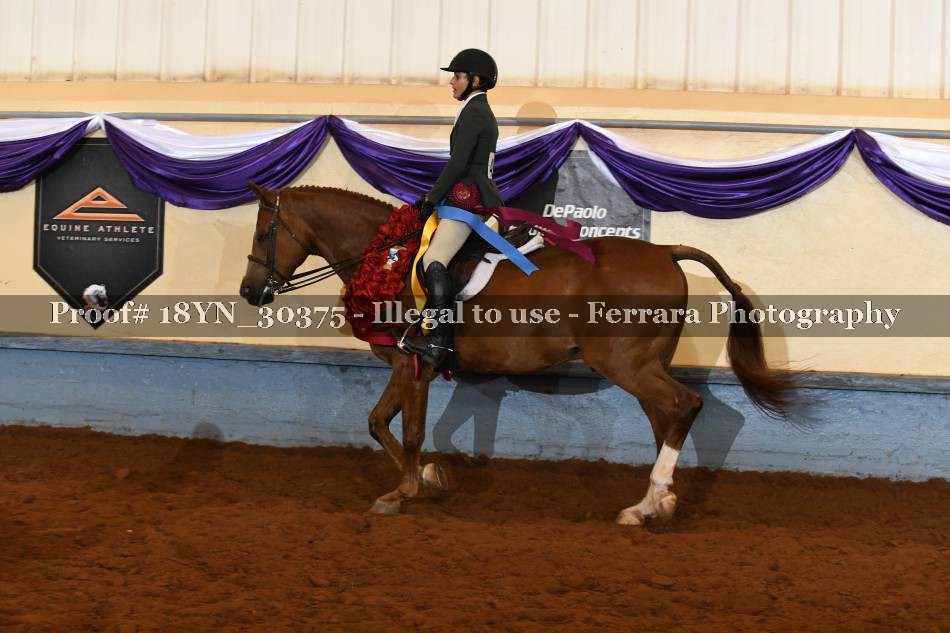 Proof 18YN_30375