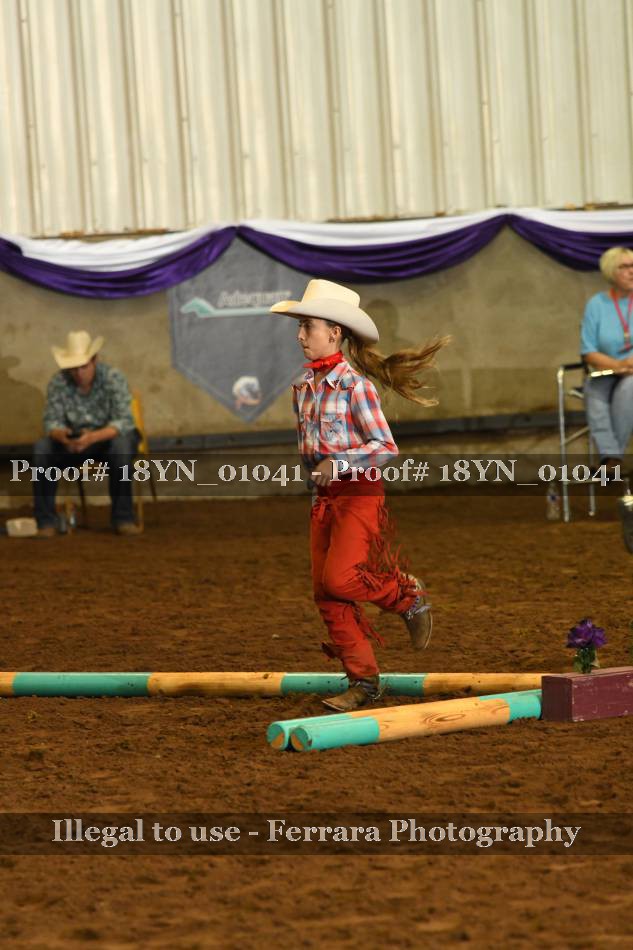 Proof 18YN_01041