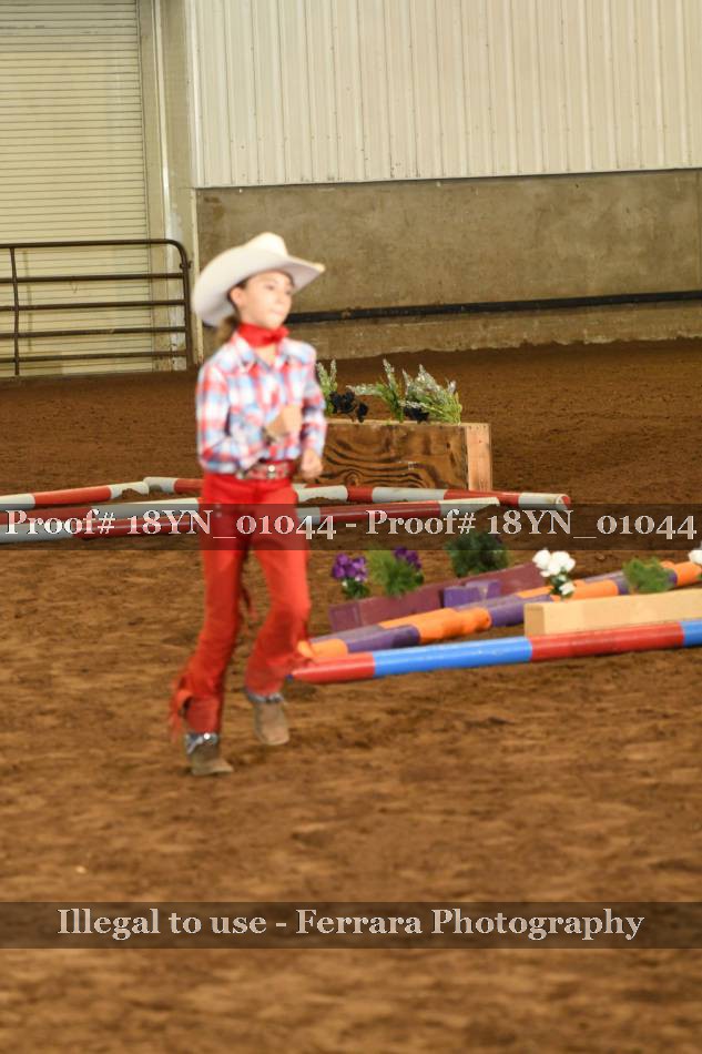 Proof 18YN_01044