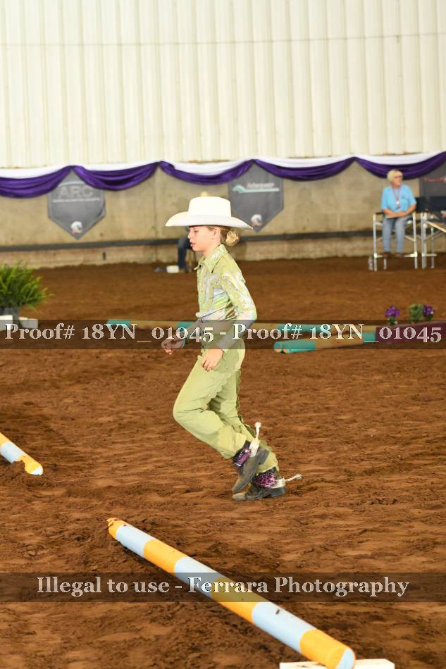 Proof 18YN_01045
