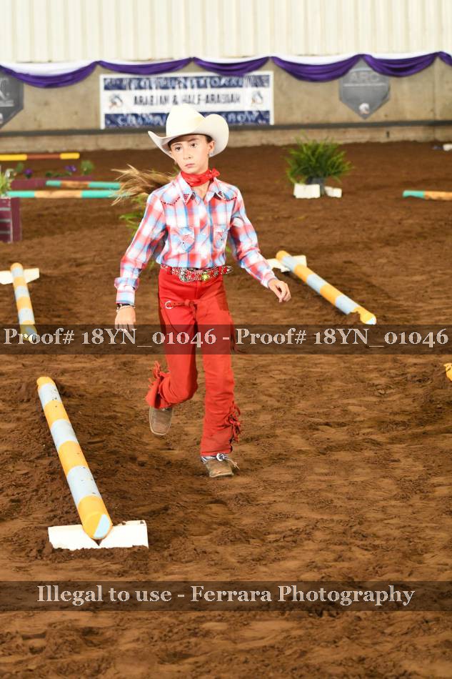 Proof 18YN_01046