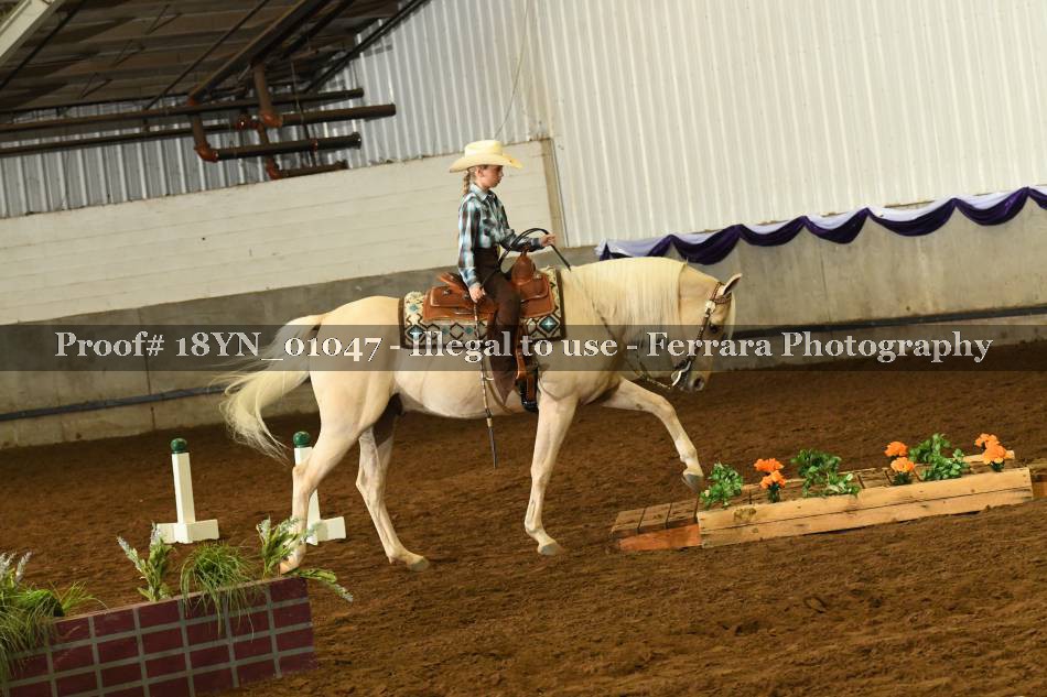 Proof 18YN_01047