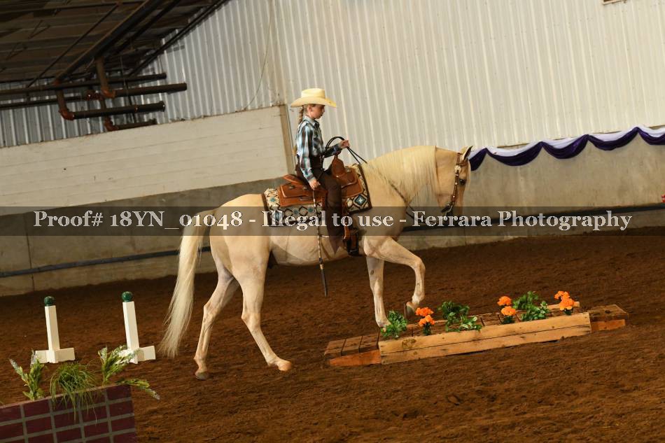 Proof 18YN_01048