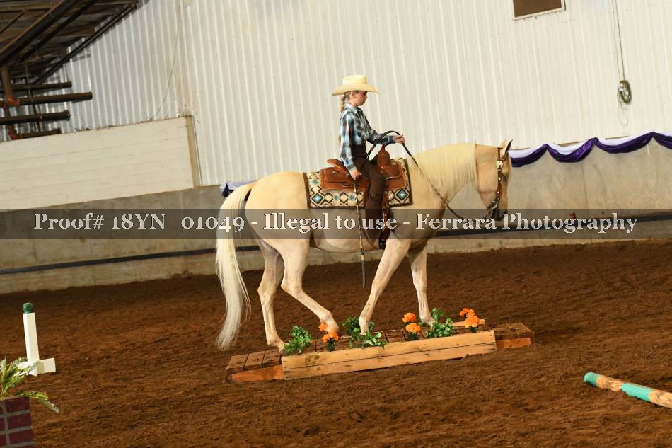 Proof 18YN_01049
