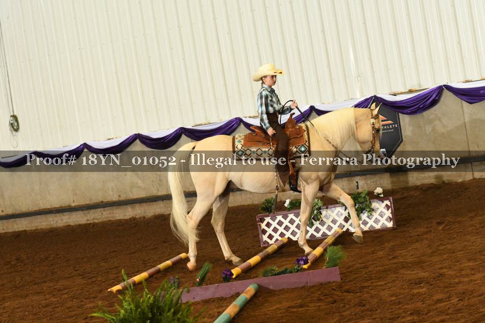 Proof 18YN_01052