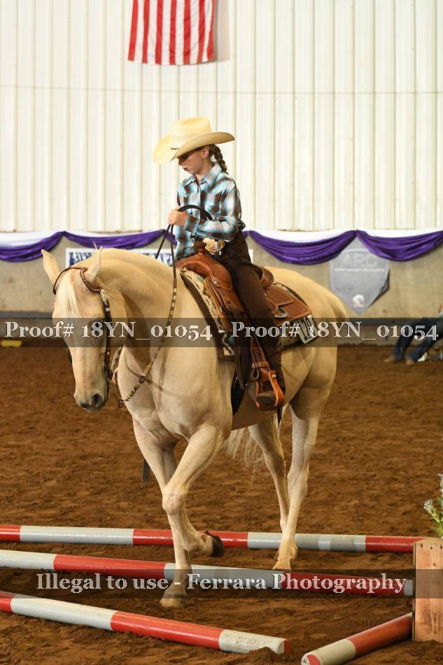 Proof 18YN_01054