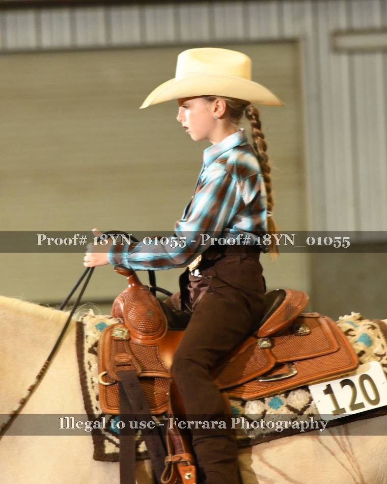 Proof 18YN_01055
