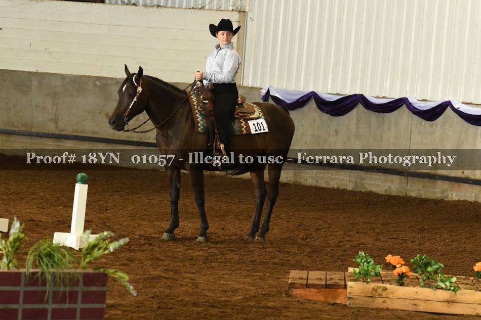 Proof 18YN_01057